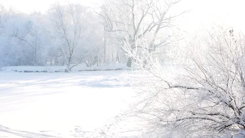 Winter landscape - a snow-covered park with beautiful trees. Stock Footage 166780101