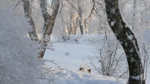 Winter landscape - a snow-covered park with beautiful trees. Video stock 168360176