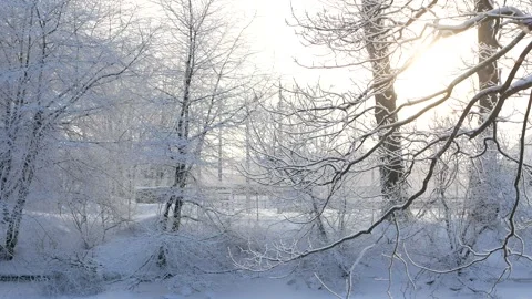 Winter landscape - a snow-covered park with beautiful trees. Video stock 168530077