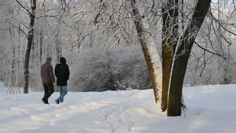 Winter landscape - a snow-covered park with beautiful trees. Stock Footage 168530292