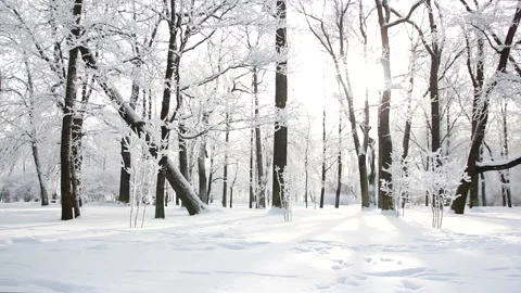 Winter landscape - a snow-covered park. Video stock 231965571