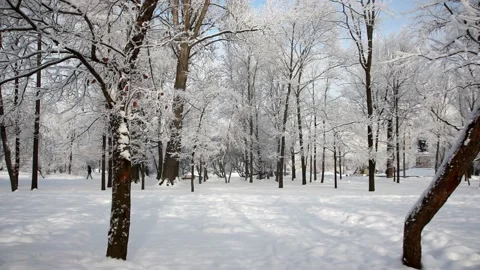 Winter landscape - a snow-covered park. Video stock 231965624