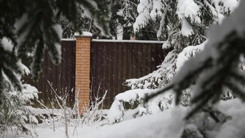Winter landscape with snow-covered pine trees, heavy fresh snowfall blanketing b Stock Footage 325766010