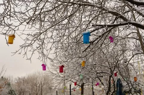 Winter landscape  with snow covered tree and colorful lighting lamps. Stock Photos