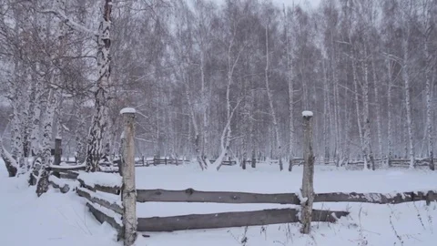 Winter landscape. Snow covered trees in the forest. An old fence. Vidéo 73636983