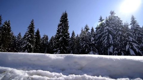 Winter landscape with snow covered trees Stock Footage 129421873