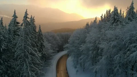 Winter landscape with snow covered trees Stock Footage 142739533