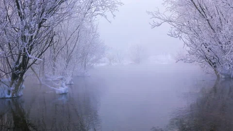 Winter landscape of snow-covered trees in water and fog Stock Footage 147480839