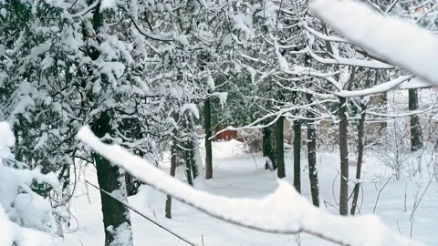 Winter landscape. Snow-covered trees, fir, spruce, pine. Snowfall. Stock Footage 167162016