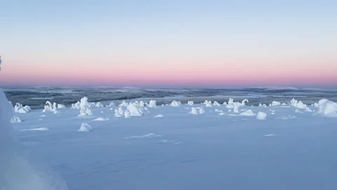 Winter landscape with snow covered trees and polar night colors Stock Footage 217922596
