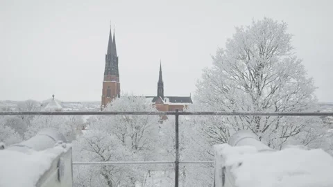 Winter Landscape with Snow-Covered Trees and Steeples 库存影片 330668375