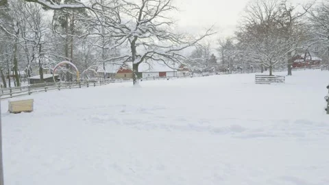 Winter Landscape with Snow-Covered Trees and Farm Vidéo 332672339
