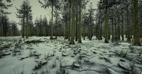 Winter landscape with snow covered trees in a serene forest setting Stock-Illustration