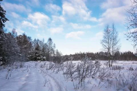 Winter landscape with snow-covered trees on a frosty December day. Stock Photos