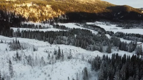 Winter landscape with snow covering trees and hills in a mountain region Stock Footage 328191669