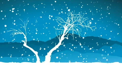 Winter landscape, snow falling loop, HD 1080 스톡 동영상 357831