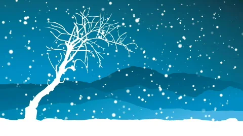 Winter landscape, snow falling loop, HD 1080 스톡 동영상 357841