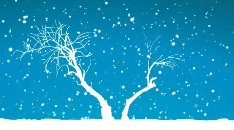 Winter landscape, snow falling loop, HD 1080 스톡 동영상 357856