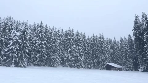 Winter landscape with snow falling over a wooden cabin Stock Footage 347769423