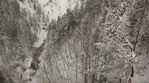 Winter landscape with snow Stock Footage 48601408