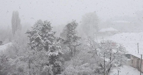 Winter landscape with snow Stock Footage 123609357