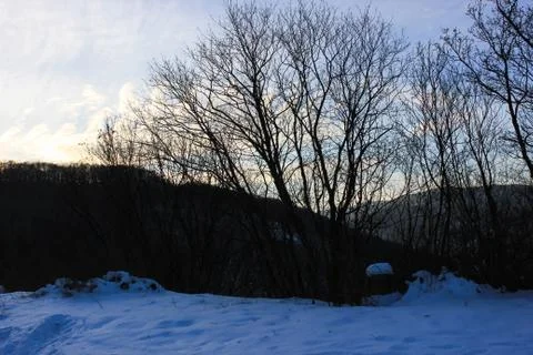 Winter landscape with snow Stock Photos