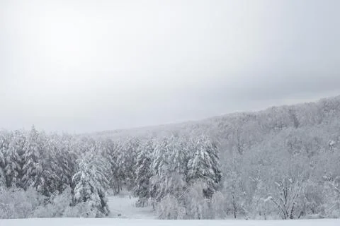 Winter landscape with snow Stock Photos