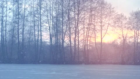 Winter landscape with snow. Snowfall. Falling snow nature background Vídeo Stock 155831459