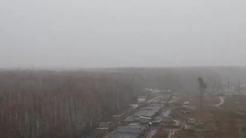 Winter landscape with a snow storm. Blizzard background. Stock Footage 255920366
