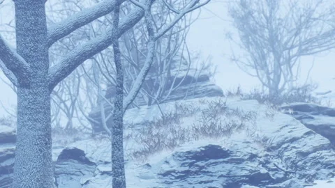 Winter landscape with snow on trees and rocks during a cloudy day Stock Footage 339459590