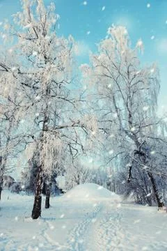 Winter landscape in the snowfall Stock Photos