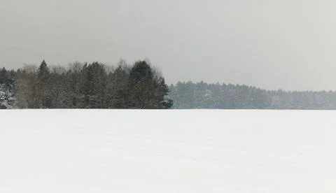 Winter landscape, snowfall Stock Photos