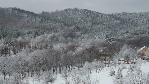 Winter landscape with snowy fields, trees, and village on cloudy sky background. Stock Footage 123716541