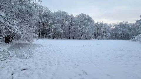 Winter landscape with snowy forest. Stock Footage 329025375