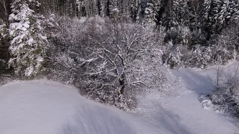 Winter landscape with snowy trees, Bavaria, Germany Stock-Footage 101094635