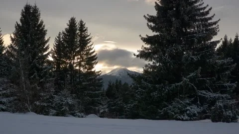 Winter landscape in the spruce forest. Between the trees the top of the mountain Stock Footage 170692265