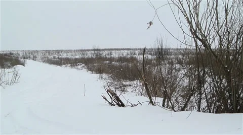Winter landscape in suburb Stock Footage 29663867