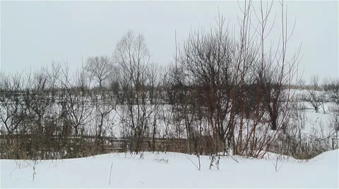 Winter landscape in suburb Stock Footage 29663927