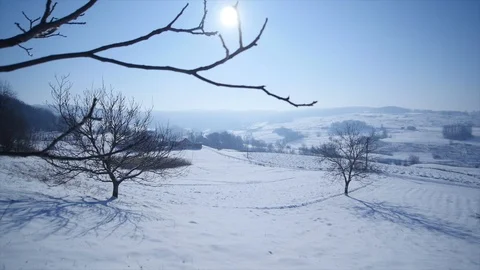 Winter landscape with sun and blue sky Stock Footage 87794041