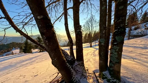 In the winter landscape, the sun illuminates the trees, casting a beautiful glow Stock-Footage 264043056