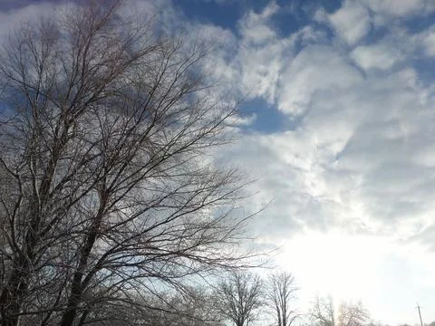 Winter Landscape with Sunlight 写真素材