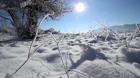 Winter landscape in sunny day Stock Footage 71344899