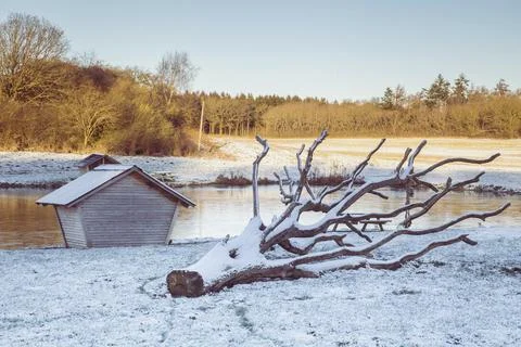 Winter landscape. Sunset. Fallen tree near a lake in Denmark Stock Photos