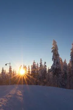 Winter landscape at sunset Stock Photos