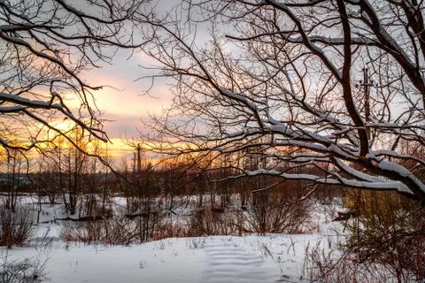 Winter landscape sunset 库存照片