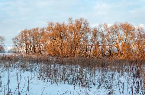 Winter landscape at sunset. Stock Photos