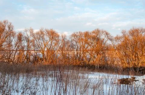 Winter landscape at sunset. Stock Photos
