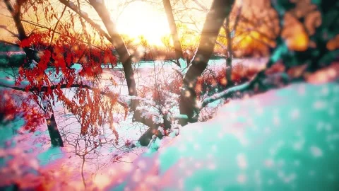Winter landscape, sunset. snowflakes background Stock Footage 152729526