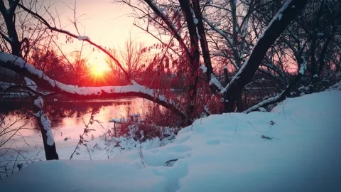 Winter landscape, sunset. snowflakes background Stock Footage 201600161