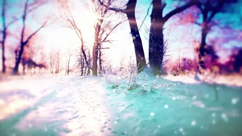 Winter landscape, sunset. snowflakes background Stock Footage 219312525